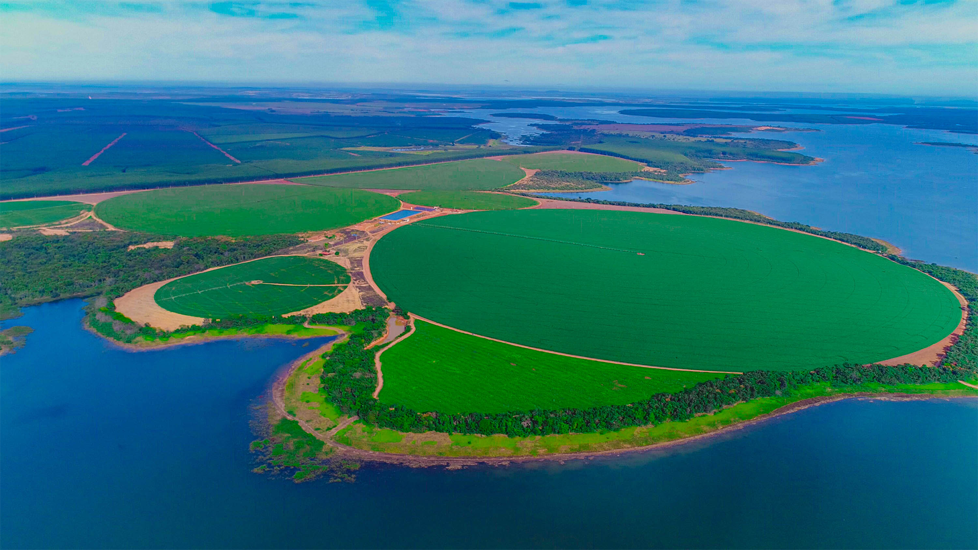 fazenda_bela_vista_2025 (3)